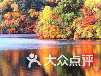 德古拉伯爵的住所